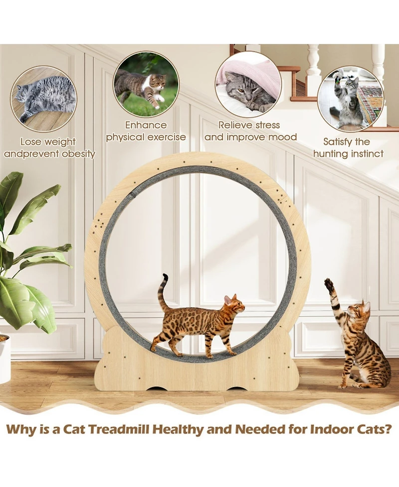 Hongge Cat Exercise Wheel with Carpeted Running Surface, 40 Inch