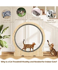 Hongge Cat Exercise Wheel with Carpeted Running Surface, 40 Inch
