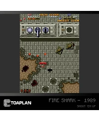 Blaze Entertainment Toaplan Cartridge 2 Evercade