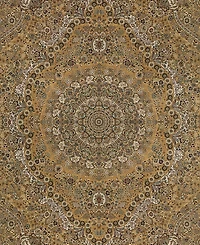 Oriental Weavers Masterpiece 8022J 3'10"x5'5" Area Rug