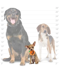 Mighty Ball Small Pumpkin 2 Pack , Durable Squeaky Dog Toy