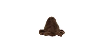 Mighty Arctic Walrus 2 Pack, Durable Plush Squeaky Dog Toy