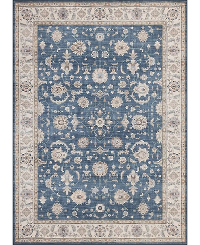 Mink Home Homewell Machine Washable HAM4007 9'x12' Area Rug