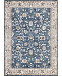 Mink Home Homewell Machine Washable HAM4007 9'x12' Area Rug