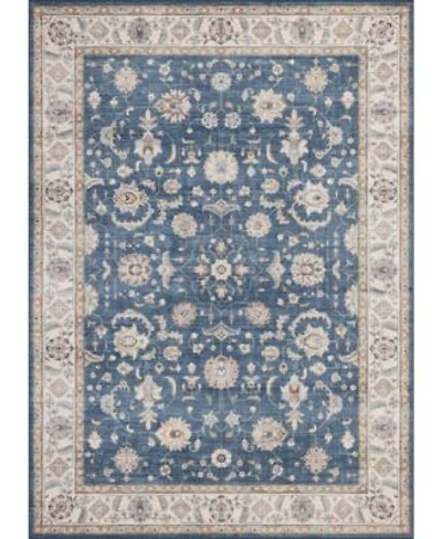 Mink Home Homewell Machine Washable Ham4007 Rug Collection