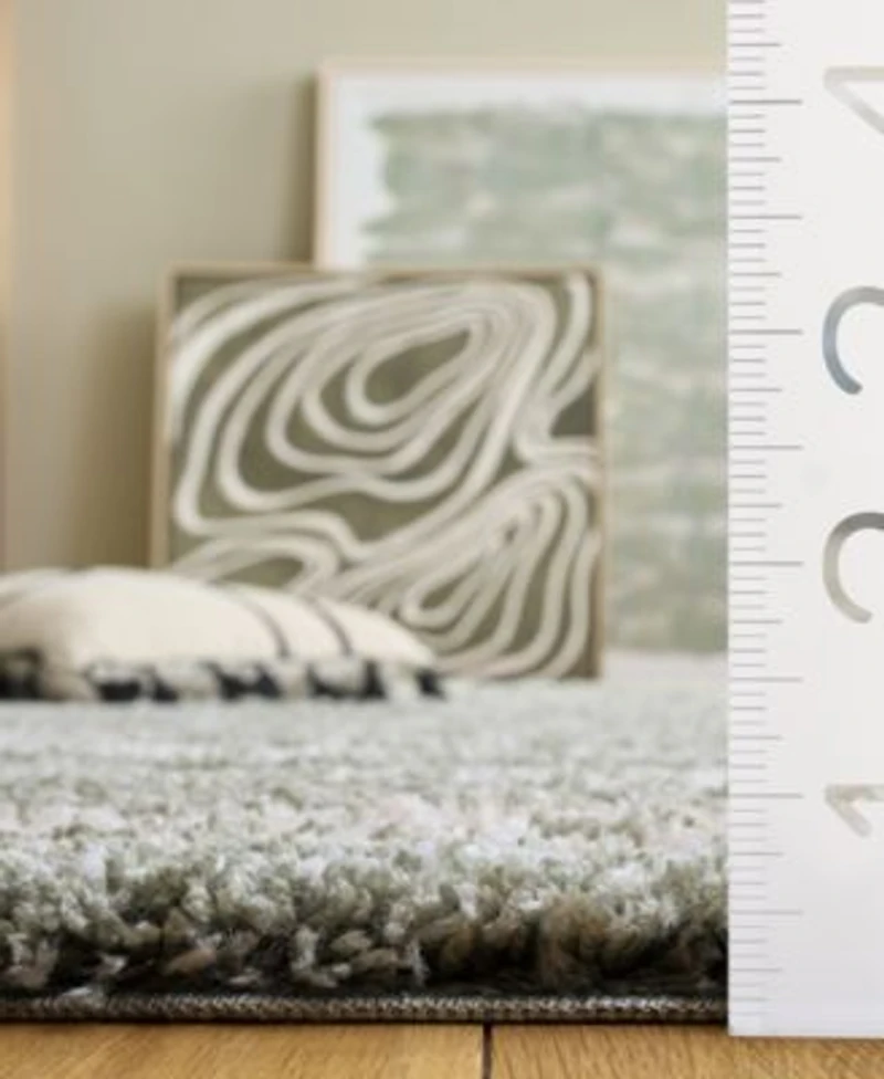 Safaviehravine Shag Rve352b Rug Collection