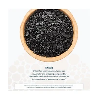 Youtheory Men Shilajit