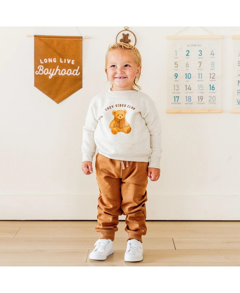 Sweet Wink Little Boys Cozy Teddy Sweatshirt