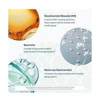 Youtheory Longevity Nr, Nicotinamide Riboside, Vegetarian Capsules, Nad Plus Booster for Health Aging Support