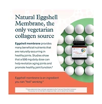 Youtheory Joint Collagen Vegetarian Collagen Supplement with Nem Eggshell Membrane and Boswellia Extract 60 Vegetarian Capsules