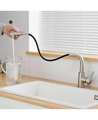 Phying Sink Faucet, Brushed Nickel Kitchen Faucets with Pull Down Sprayer