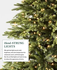 Balsam Hill 7 ft Pre-Lit Silverado Slim Tree