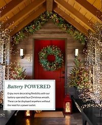 Balsam Hill 30" Mixed Pre-Lit Wreath