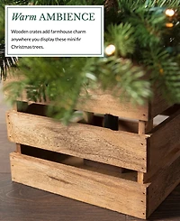 Balsam Hill 4 ft Country Farm Pre-Lit Fir Tree