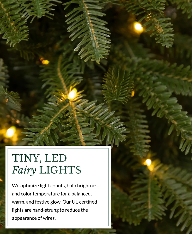 Balsam Hill 2.5 ft Fraser Fir Pre-Lit Tabletop Tree