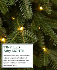 Balsam Hill 2.5 ft Fraser Fir Pre-Lit Tabletop Tree