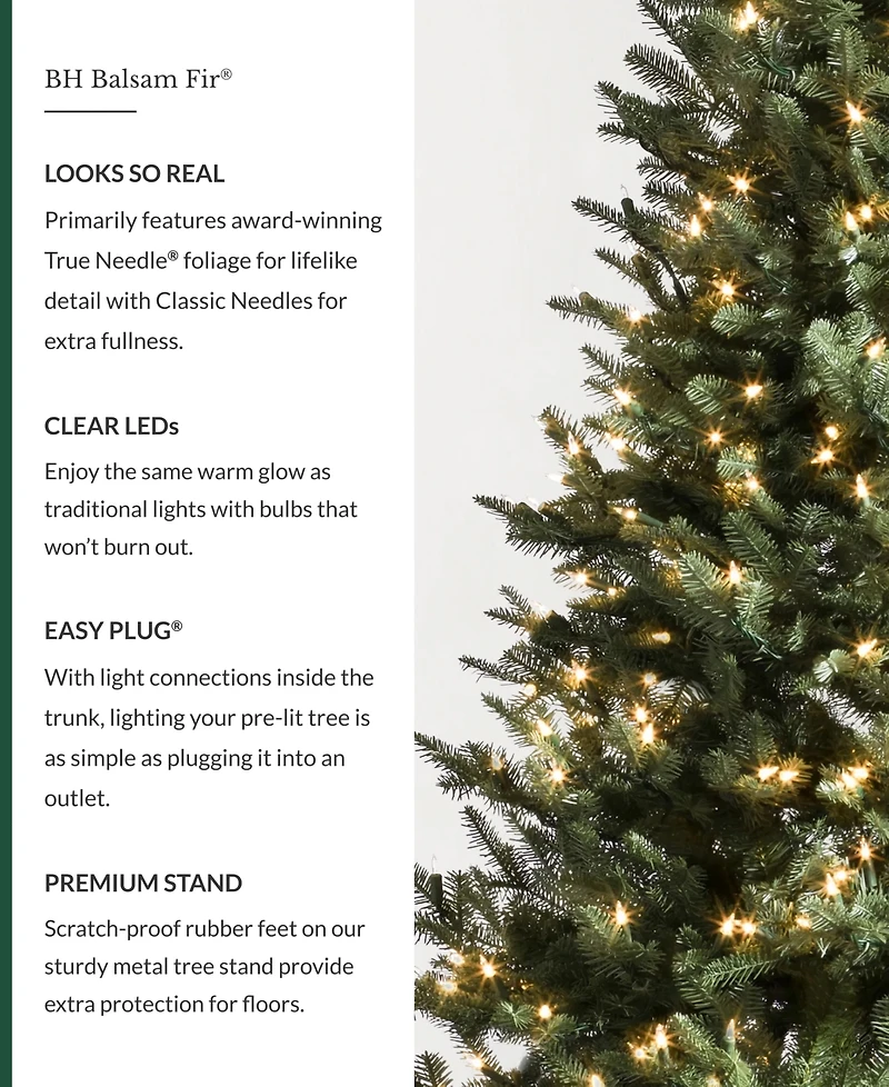 Balsam Hill 6.5' Pre-Lit Fir Ledc Artificial Christmas Tree