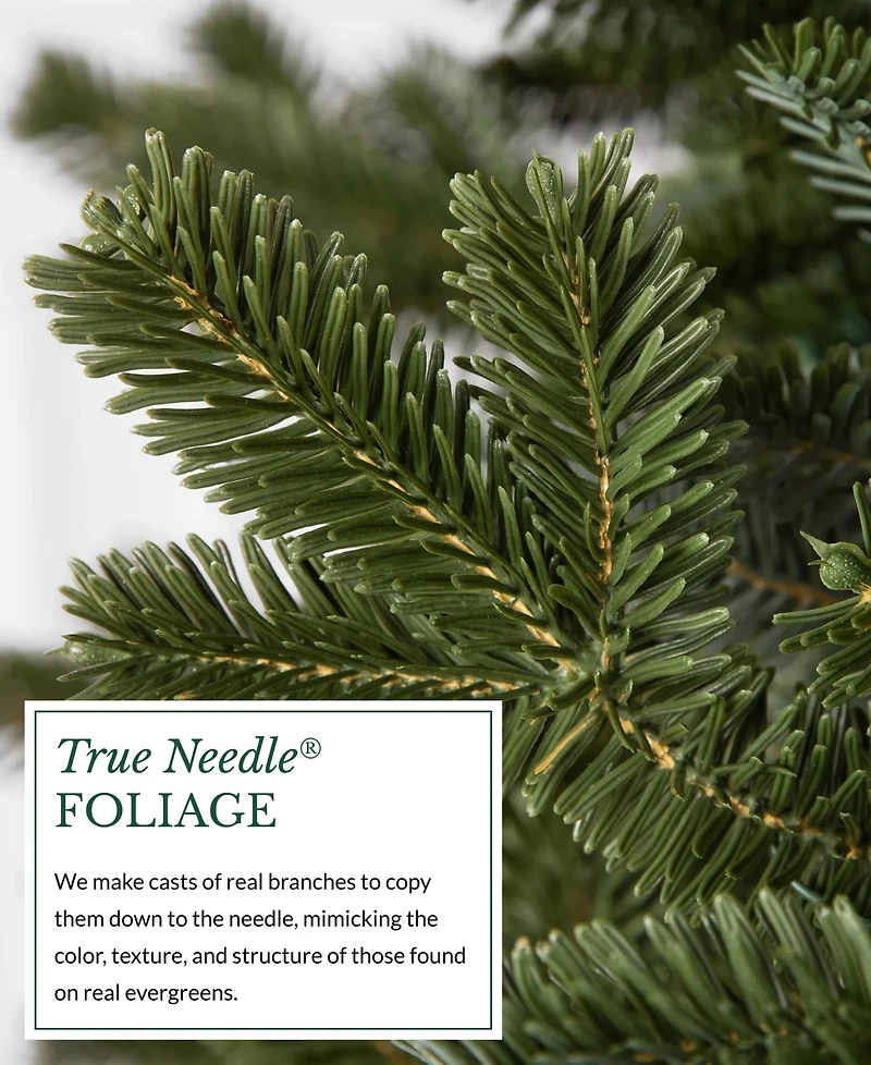 Balsam Hill 6.5' Pre-Lit Fraser Fir Ledc Artificial Christmas Tree