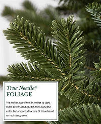 Balsam Hill 6.5' Pre-Lit Fraser Fir Ledc Artificial Christmas Tree