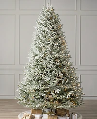 Balsam Hill Frosted Balsam Fir 6.5' Tree
