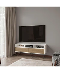 Fm Furniture Olds Tv Stand with 2 Doors and Open Storage