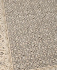 Nourison Home Persian Empire Pe26 Silver Rug