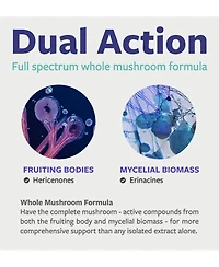 Pure Co Lion's Mane Mushroom Powder, 57 Servings