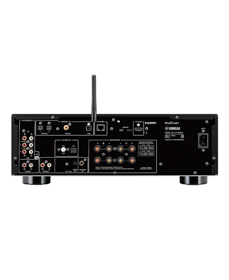Yamaha R-N1000A Stereo Network Receiver with AudioQuest Sky Hdmi Cable Bundle