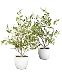 Nearly Natural 2-Pc. 18" Olive Tree Set with Vases