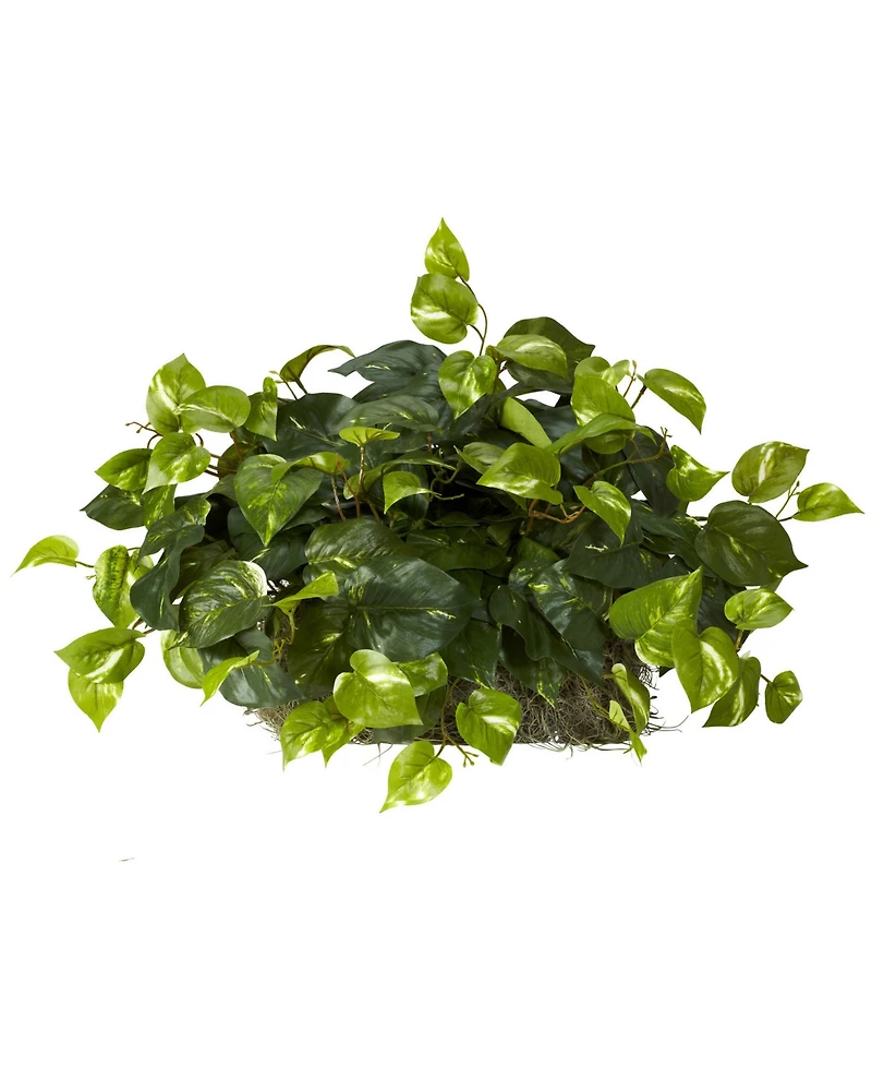 Nearly Natural Pothos Artificial Ledge Plant