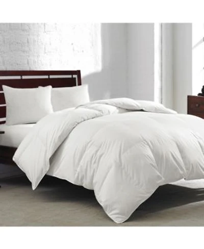 Royal Luxe White Goose Feather Down 240 Thread Count Comforters Exclusively At Macys