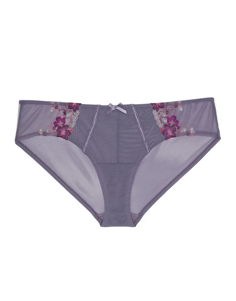 Elara Hipster Panty