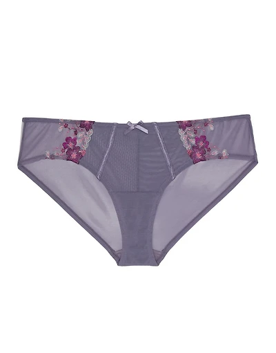 Elara Hipster Panty