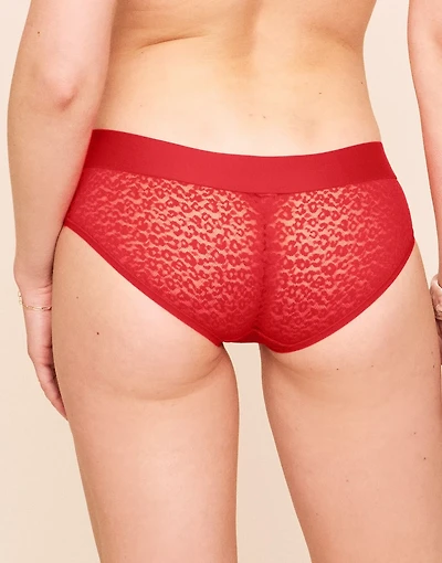 James Lace Hipster Panty