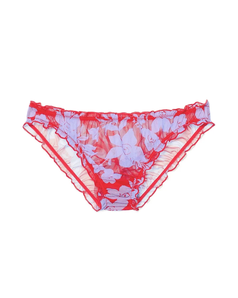 Georgia Brief Panty