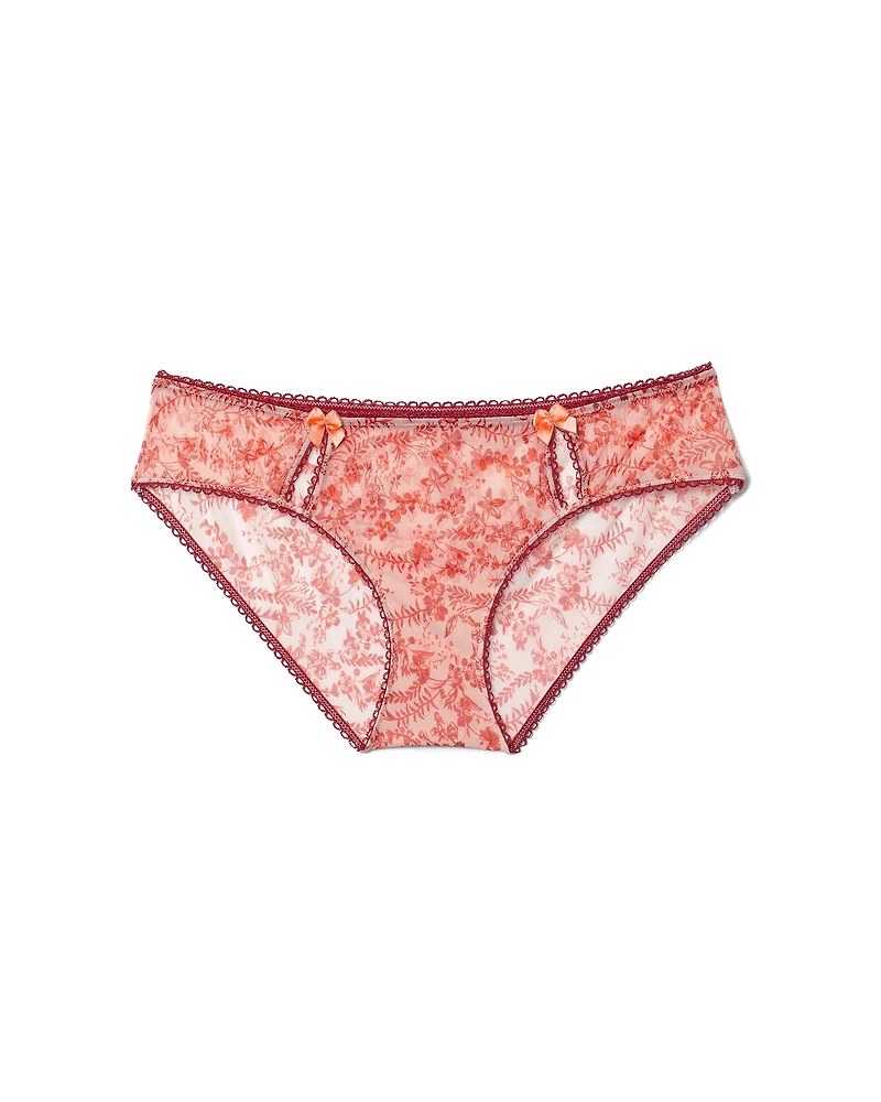 Gabby Hipster Panty