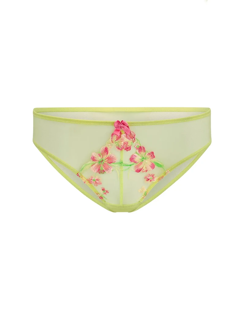 Daphne Bikini Panty