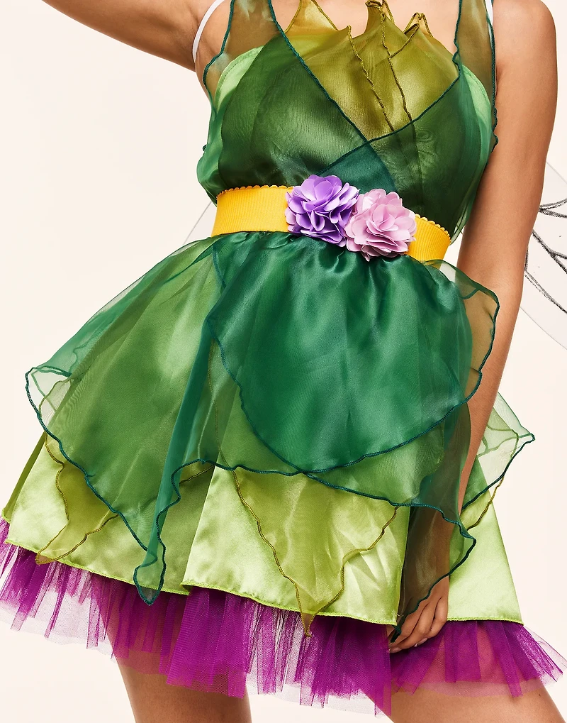 Fairy Costume Costumes