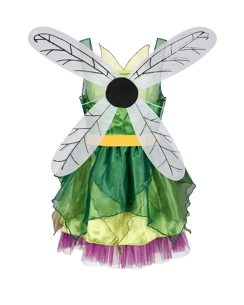 Fairy Costume Costumes