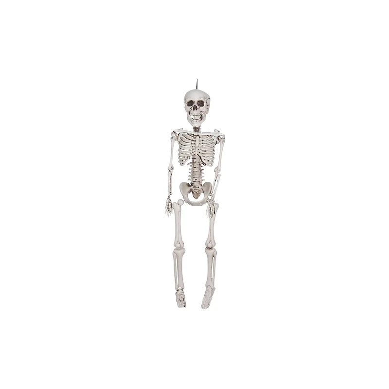 20 In Plastic Skeleton