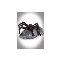 21 In LED Brown Jumping Spider Animatronic