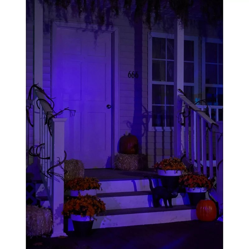 Black Light Strobe Spotlight