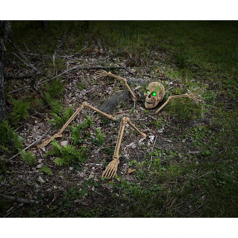 Ground Breaking Light-Up Skeletal Remains