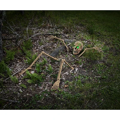 Ground Breaking Light-Up Skeletal Remains