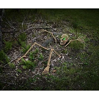 Ground Breaking Light-Up Skeletal Remains
