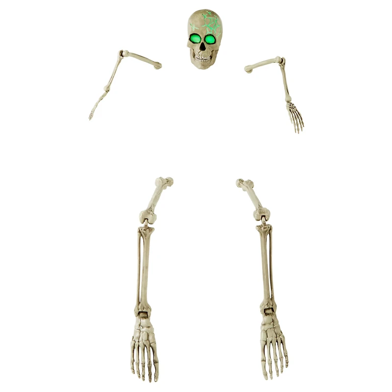 Ground Breaking Light-Up Skeletal Remains