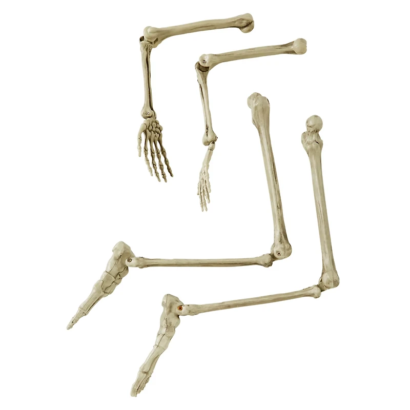 Ground Breaking Light-Up Skeletal Remains