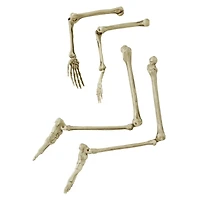 Ground Breaking Light-Up Skeletal Remains