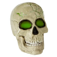 Ground Breaking Light-Up Skeletal Remains