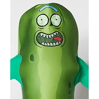 Adult Pickle Rick Costume - Rick and Morty